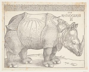 Næsehornet af Albrecht Dürer