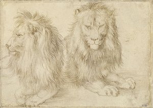To siddende løver af Albrecht Dürer