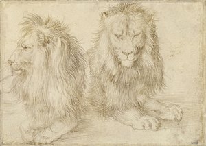 To siddende løver, 1521 af Albrecht Dürer