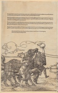  af Albrecht Dürer