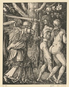  af Albrecht Dürer
