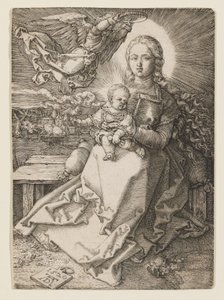  af Albrecht Dürer