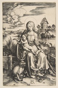  af Albrecht Dürer