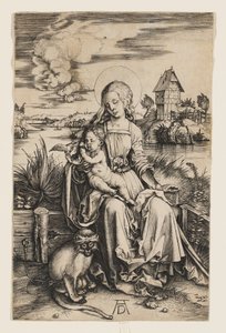  af Albrecht Dürer