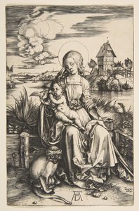 Jomfru og barn med aben, ca. 1498. af Albrecht Dürer