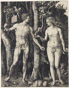 Adam og Eva af Albrecht Dürer