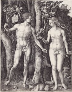 Adam og Eva, pub. 1504 (gravering) af Albrecht Dürer
