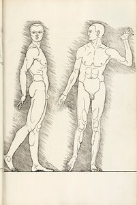 Anatomisk træsnit fra Heri er forstået fire bøger af menneskelig proportion, 1528 af Albrecht Dürer