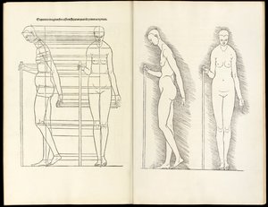 Kvinde med stav, anatomisk træsnit fra Heri er forstået fire bøger af menneskelig proportion, 1528 af Albrecht Dürer