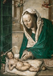 Madonna med barn, centralt panel på Dresden-alteret, ca. 1496 (tempera på lærred) af Albrecht Dürer or Duerer