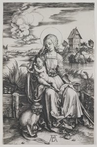 Madonna med aben, ca. 1498 (kobberstik) af Albrecht Dürer or Duerer