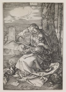 Madonna med pæren af Albrecht Dürer or Duerer