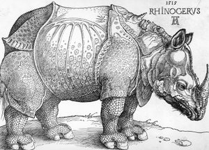 Næsehorn af Albrecht Dürer