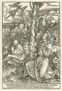 Den hellige Frans modtager stigmata, ca. 1503-04 (træsnit) af Albrecht Dürer or Duerer