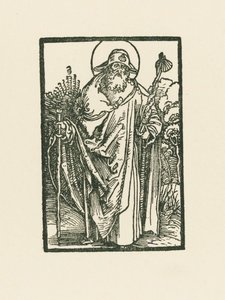 Sankt Jakob den Store af Albrecht Dürer or Duerer