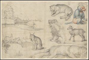 Skitser af dyr og landskaber, 1521 af Albrecht Dürer