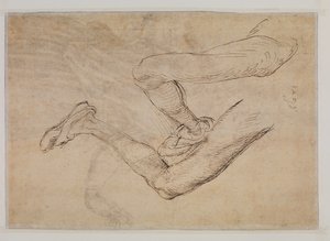 Studie af et venstre ben fra to synspunkter af Albrecht Dürer