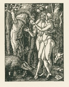 Menneskets fald, ca. 1510 (træsnit) af Albrecht Dürer or Duerer