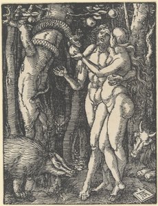 Menneskets fald, fra "Den lille lidenskab", ca. 1510 (træsnit) af Albrecht Dürer