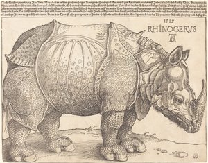 Næsehornet af Albrecht Dürer