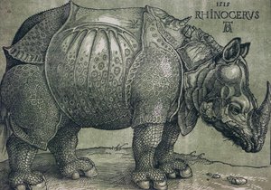 Næsehornet, 1515 af Albrecht Dürer
