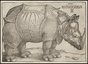 Næsehornet, 1515 af Albrecht Dürer