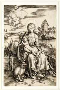 Jomfru og barn med abe af Albrecht Dürer