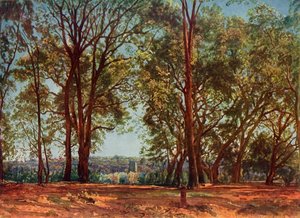 I Aricci Park, 1830