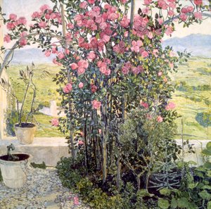 Dalen i Umbrien, 1910