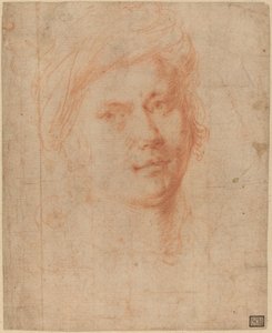 leder af en ungdom af Alessandro Allori