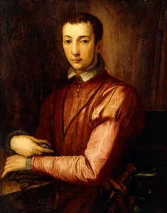 Portræt af Francesco I d "Medici af Alessandro Allori