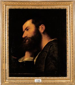 Portrait of the poet Pietro Aretino, bust-length, resting his head on his right hand by a ledge with a plantdani