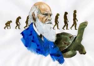 Portræt af Charles Darwin - Portræt af den engelske naturforsker Charles Darwin (1809-1882) Illustration