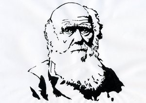 Portræt af Charles Darwin - Portræt af den engelske naturforsker Charles Darwin (1809-1882) Illustration af Alessandro Lonati