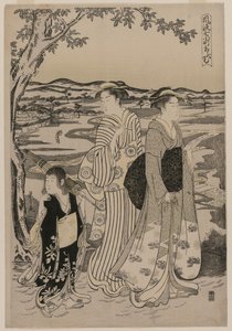 Papegøjen Omu (fra serien Seven Elegant Episodes from the Life of the Poetess Ono no Komachi) af Alessandro Magnasco