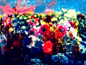 Field, 2019, (collage) af Alex Caminker