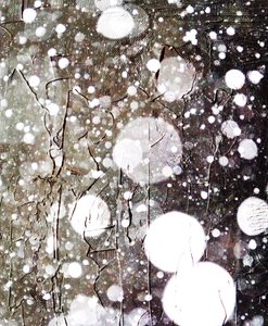 Sne, 2019, (blandet medier) af Alex Caminker