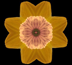 Symmetry, 2019, (fotografi) af Alex Caminker