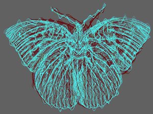 Butterfly 8.2020, (blandede medier) af Alex Caminker