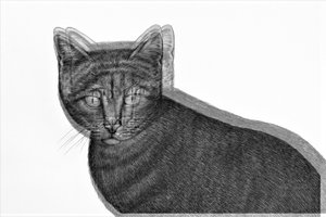 elektrisk kat, 2019, (blandet medier) af Alex Caminker