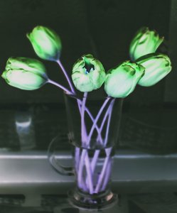 lysbrydning, 2019, (fotomanipulation) af Alex Caminker