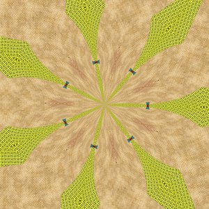 ornament #3,2019,(blandet medier) af Alex Caminker