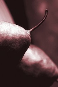 pærer, 2019, (fotografi) af Alex Caminker