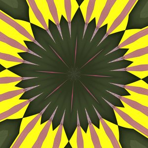 solsikke, 2019, (digital) af Alex Caminker