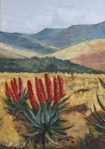 Rød Aloe på bjergskråningen af Alex Cornell