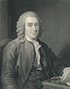 Carolus Linnaeuksen muotokuva af Alexander (after) Roslin