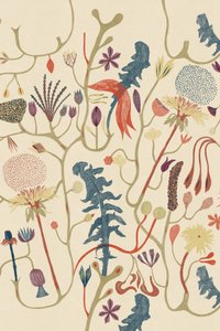 Virke af Alexander Adiels