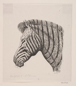 Hoved af en Zebra af Alexander Blom
