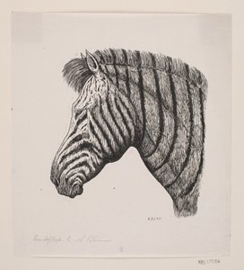 Hoved af en Zebra af Alexander Blom