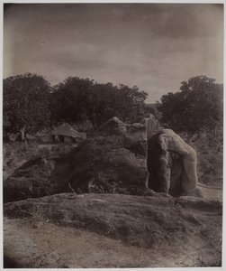 Skulptureret elefant på toppen af klippen med Asoka-indskrifter, Dhauli, Puri-distriktet af Alexander Caddy
